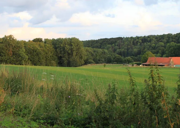 Fewo Harling - Waldsamkeit