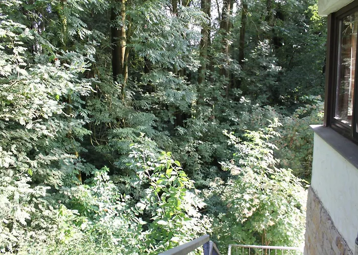 Fewo Harling - Waldsamkeit