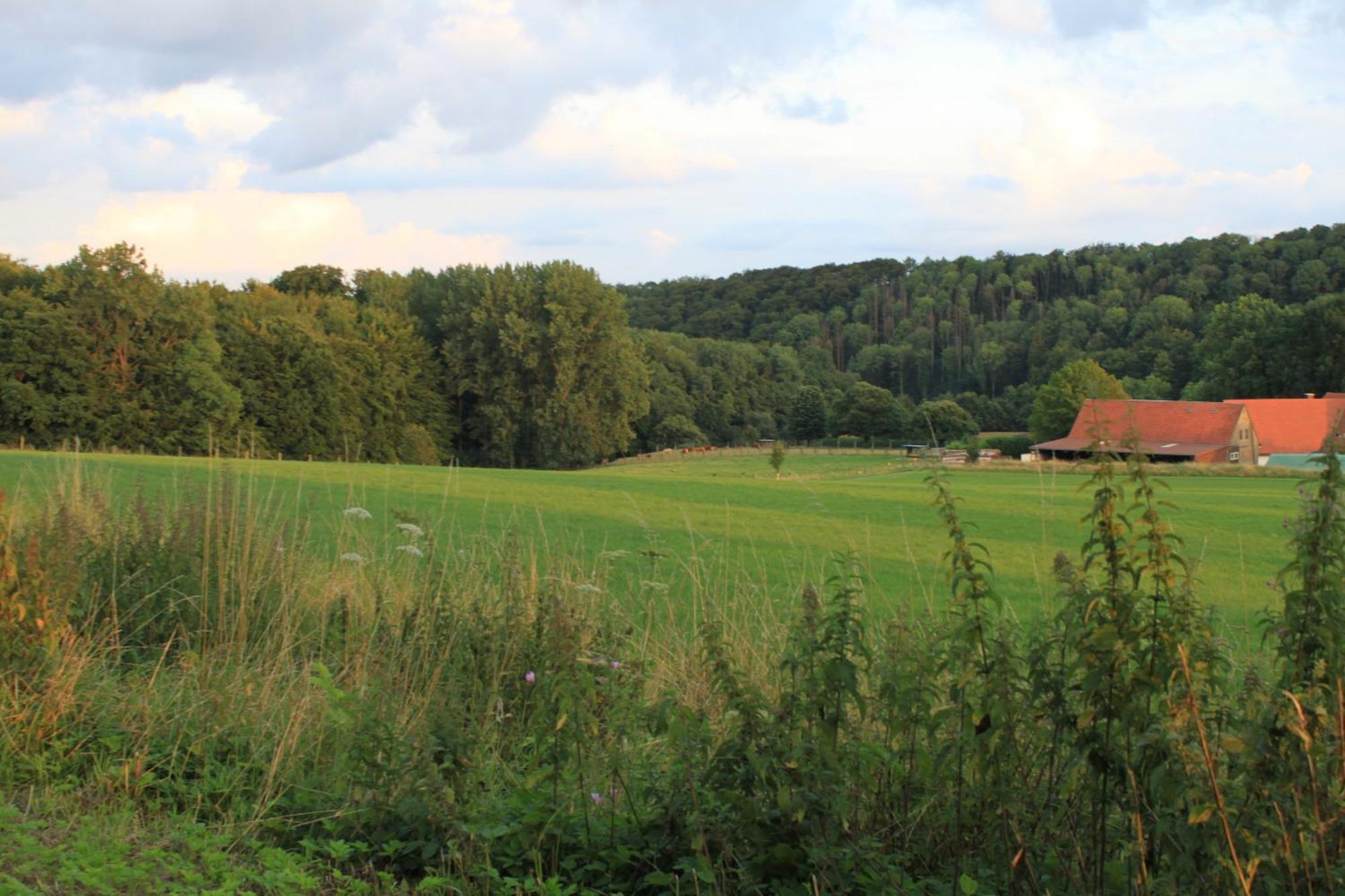 Apartment Harling - Waldsamkeit *
