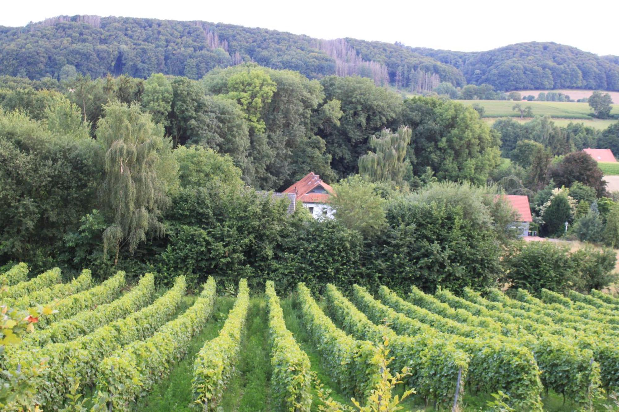Harling - Waldsamkeit