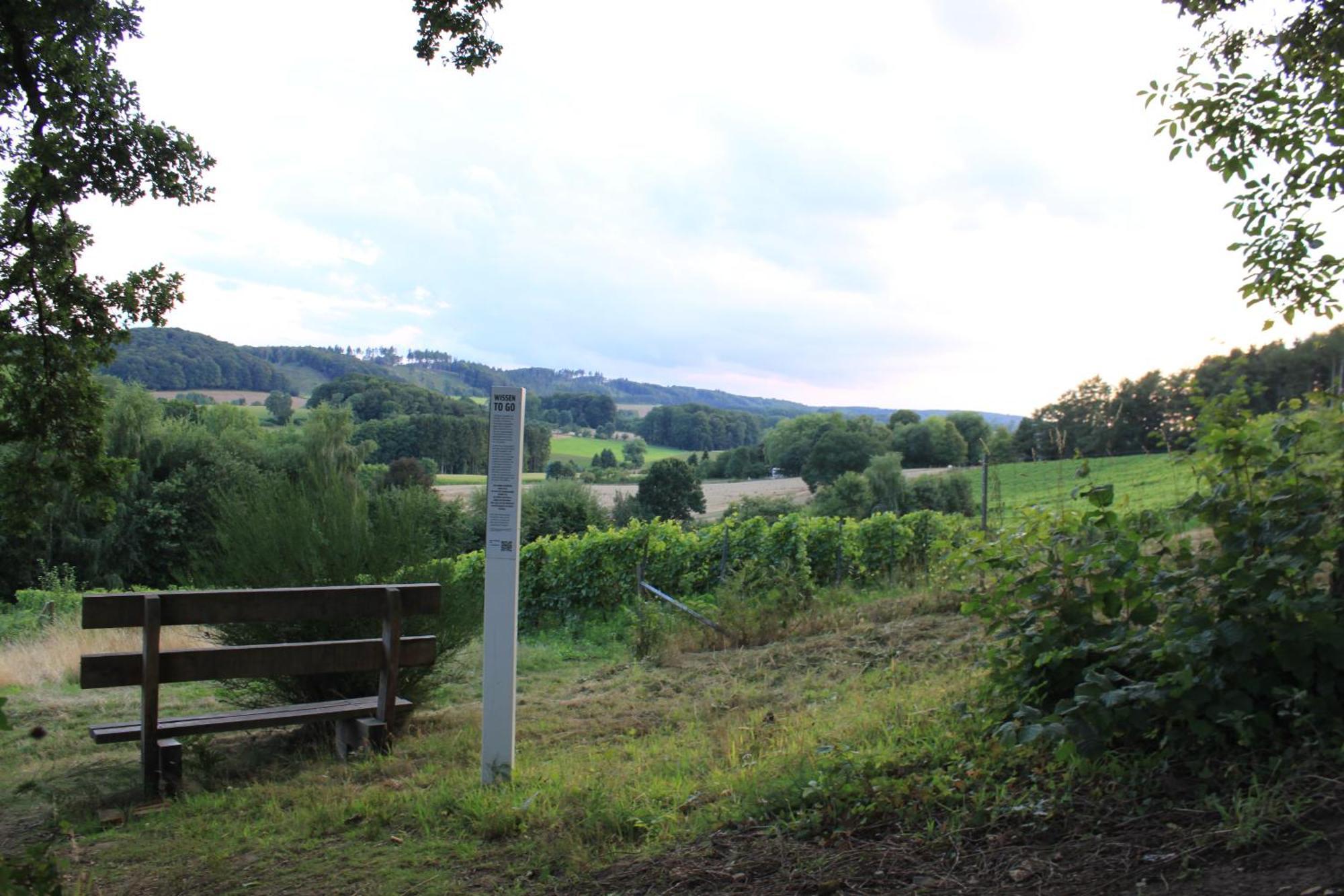 Harling - Waldsamkeit Appartamento *