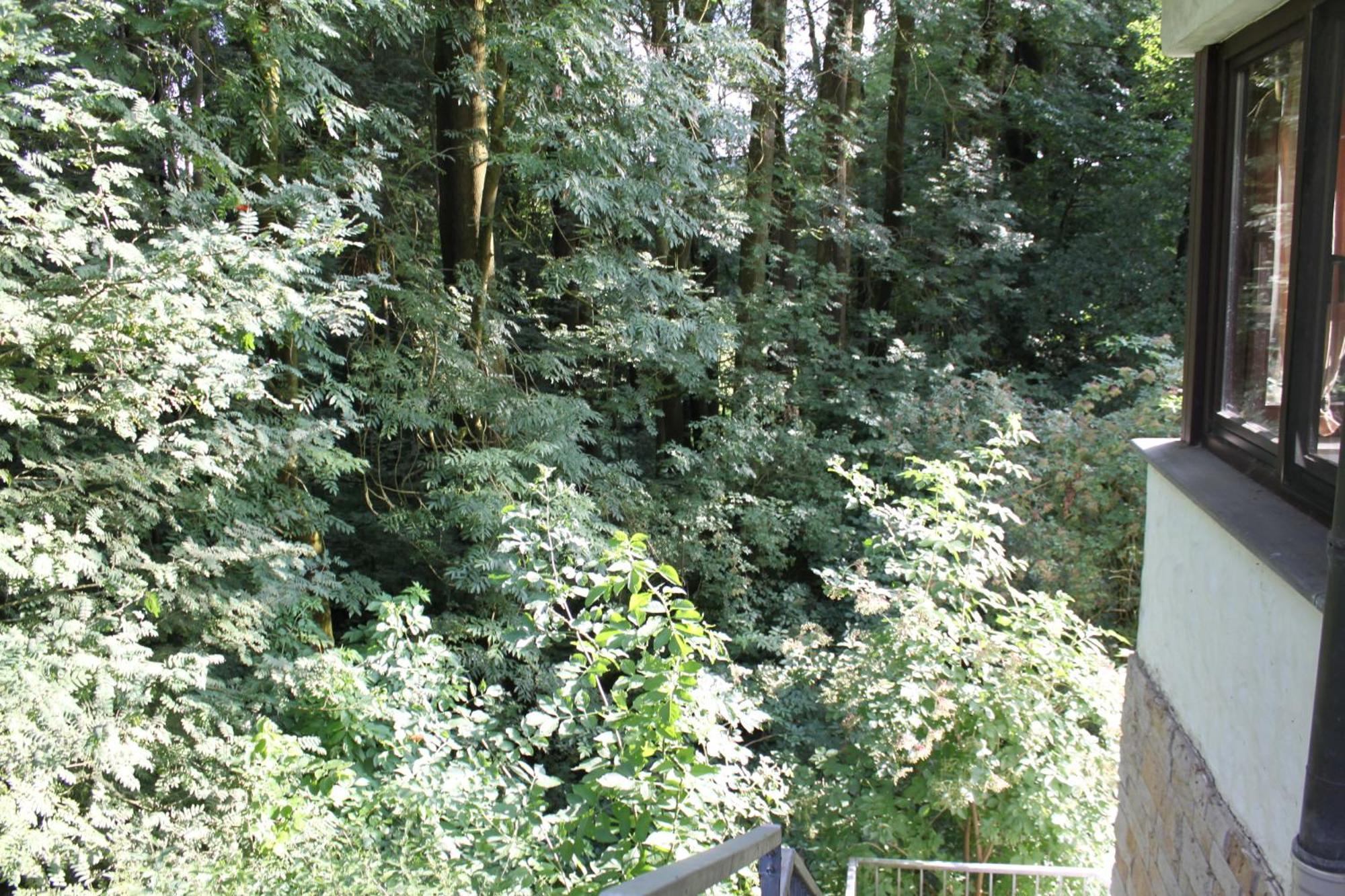 Harling - Waldsamkeit * Bad Iburg